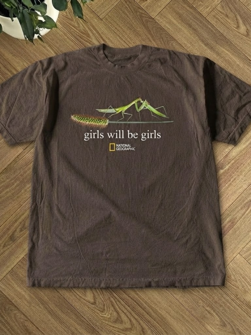 Gildan Brown Tee with Green Praying Mantis Graphic
